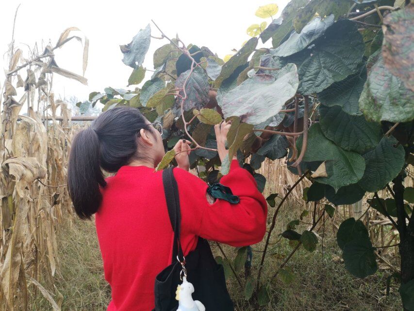 af06a46eacf44e35a0a960df41c795f2.jpg af06a46eacf44e35a0a960df41c795f2.jpg