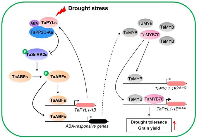 33843a056c0241f5b858068218fe8769.jpg 研究圖片-680.jpg