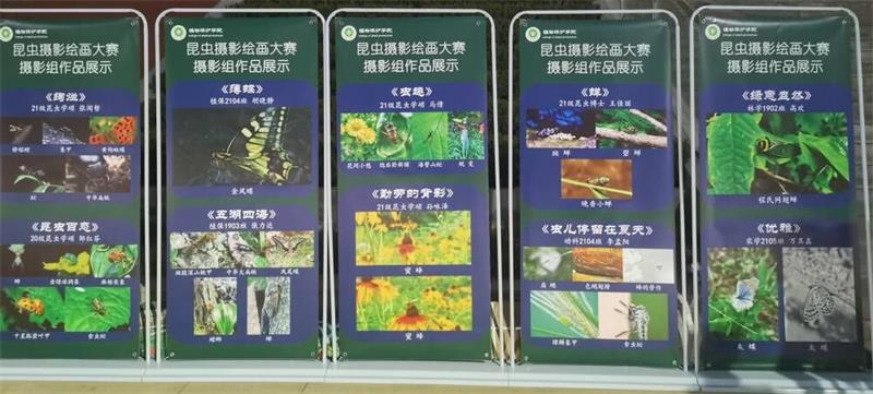 昆蟲攝影繪畫大賽_800.jpg