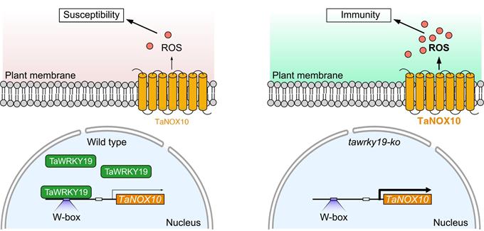 5a7a700c64fd49e6a32d20ff48fc4c89.jpg 圖片-680.jpg