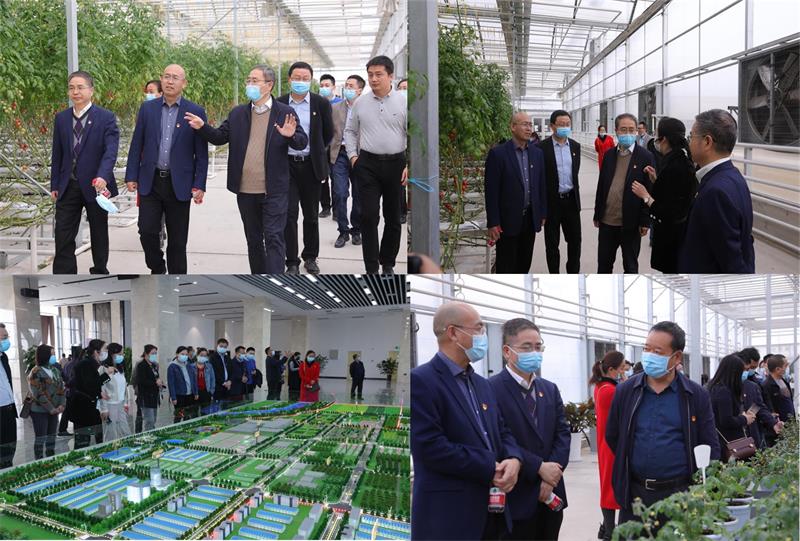 8990fb74fe074aea96c1e2cecdbb376b.jpg 800圖片1.jpg