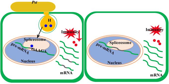 dd24ba7723a746848d074fc3ae44c217.jpg 圖片-裁剪-680.jpg