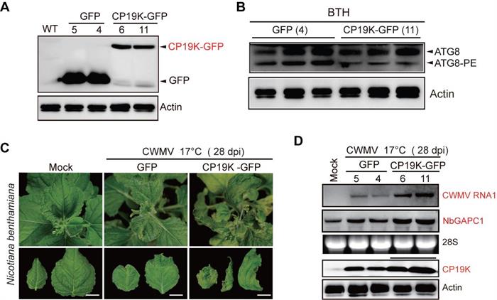 34843edb932f4bb5a35ea902f446fb71.jpg 圖片-700.jpg
