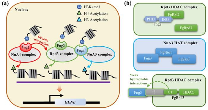 920a77efec8449879b96cfa5aacd76b8.jpg 圖片-700.jpg