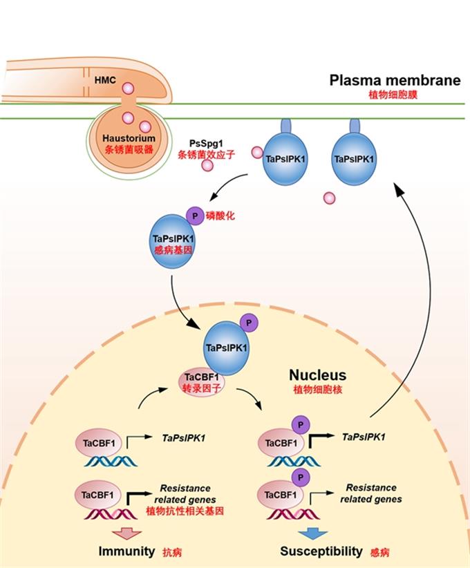 65299ffa35e74143829445814975ea3b.jpg 圖片-680.jpg