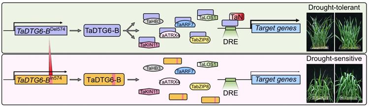 1c50c0fa58274dc89500e50f7f01eec1.jpg 圖片4-750.jpg