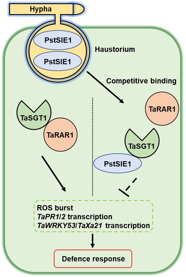 5836387275a4459b93219429288cd965.jpg 更新模式圖JPG文件模式圖-新20221109__看圖王.jpg