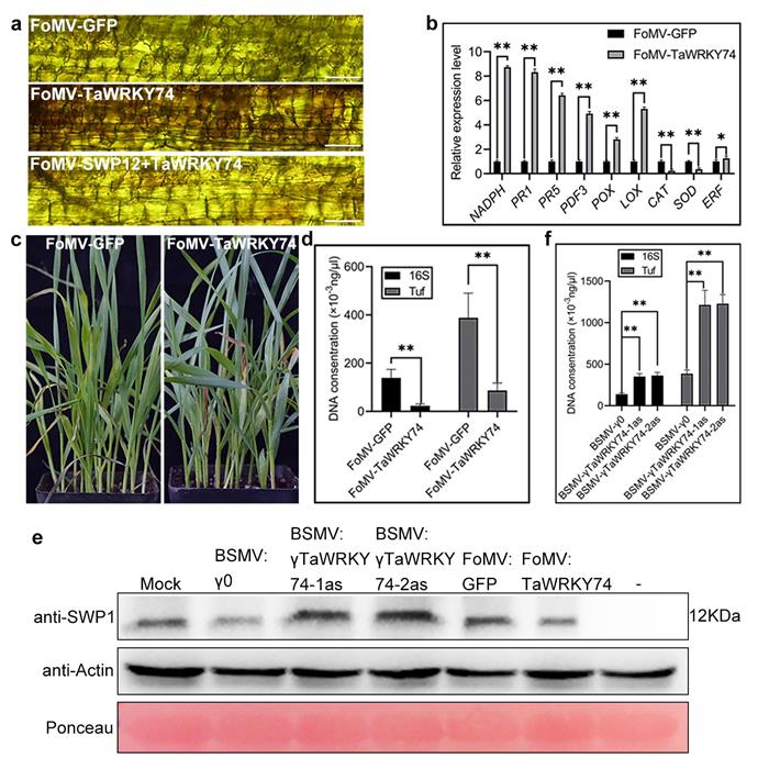 858122d8267a407c9246ae7fc8528796.jpg 圖片1-700.jpg