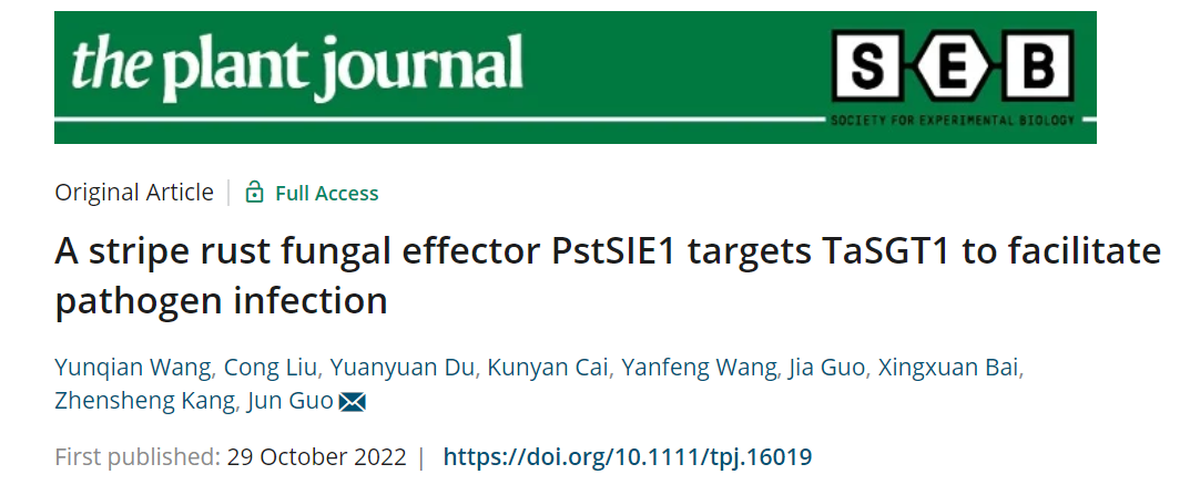 9f65ae3c7fdd4b78b7609d45d56c8de5.png 論文標(biāo)題首頁(yè)圖片.png