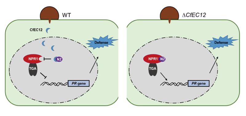 326de58e61cb4cd2867c14e75f38dbbc.jpg 截圖JPG圖片-800.jpg